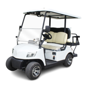 4 seater golf cart dg m2+2